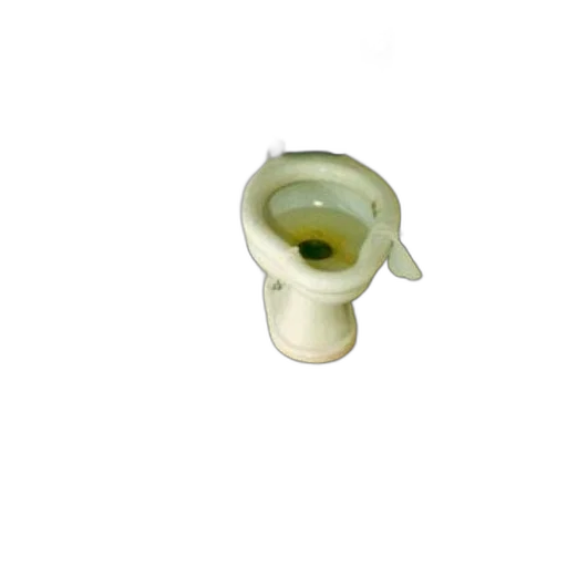 jewelry, mask, staff, crown, 3d render, dirty, bathroom, toilet transparent PNG cut-out