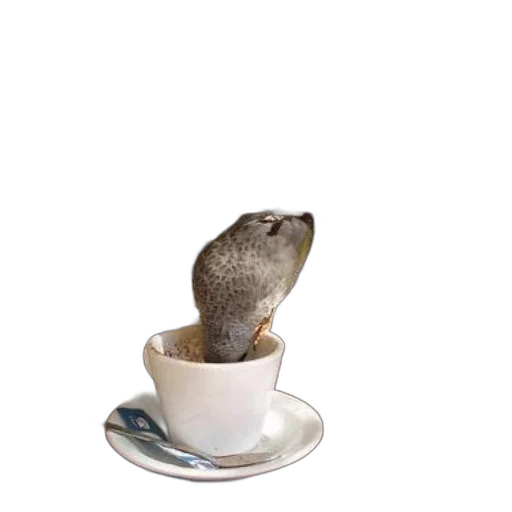 food, animal, staff, hat, 3d render, photorealistic, bird, perched transparent PNG cut-out
