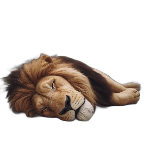 animal, crown, staff, hair, photorealistic, oil painting, watercolor, concept art transparent PNG cut-out