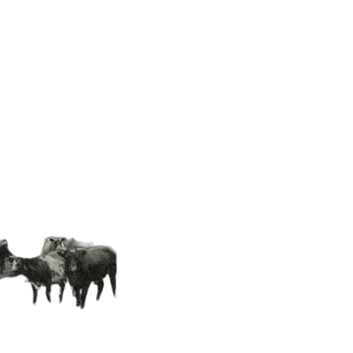 animal, creature, weapon, furniture, concept art, 3d render, pixel art, photorealistic transparent PNG cut-out