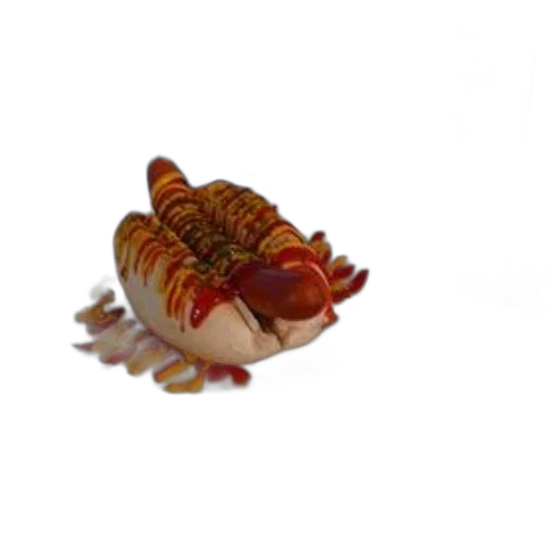 creature, animal, food, crown, 3d render, photorealistic, concept art, hot transparent PNG cut-out