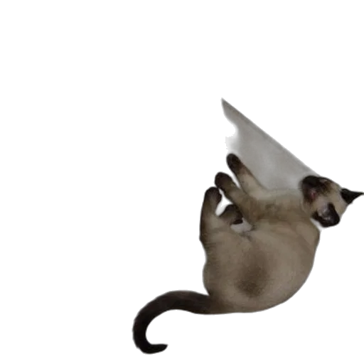 animal, staff, creature, dragon, concept art, 3d render, photorealistic, pixel art transparent PNG cut-out