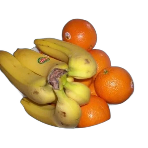 food, crown, animal, creature transparent PNG cut-out