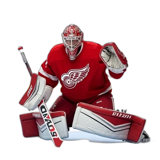 animal, nhl, red, wings, goalie, goaltender, alexander, stalberg transparent PNG cut-out