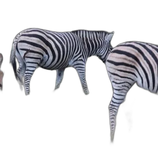 animal, furniture, creature, shoes, 3d render, concept art, photorealistic, monochrome transparent PNG cut-out