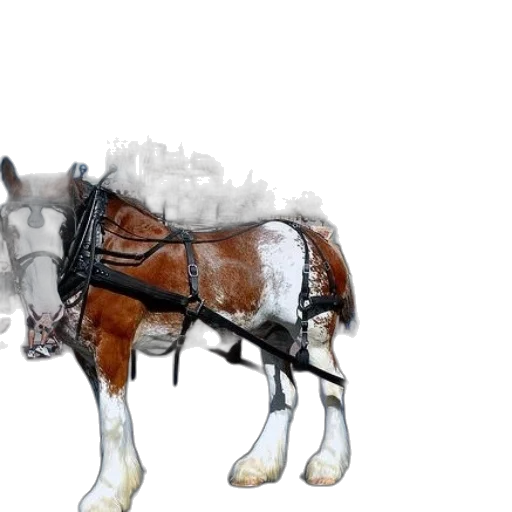 animal, robot, creature, weapon, photorealistic, 3d render, concept art, fantasy art transparent PNG cut-out
