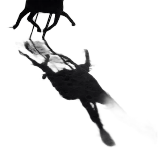 umbrella, dragon, animal, staff, concept art, fantasy art, photorealistic, comic book art transparent PNG cut-out