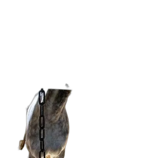 shoes, animal, dress, bottle, 3d render, concept art, photorealistic, fantasy art transparent PNG cut-out