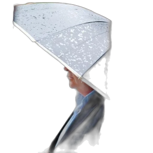 umbrella, staff, jacket, hat, photorealistic, concept art, 3d render, rain transparent PNG cut-out