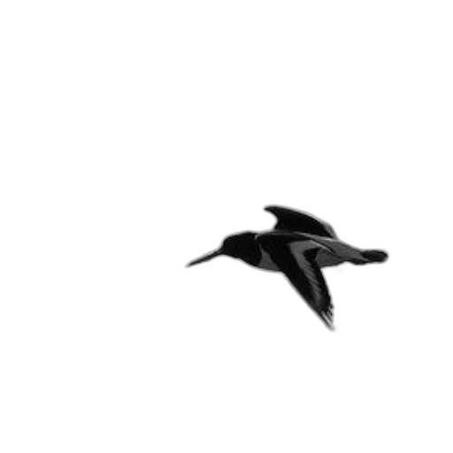 animal, creature, staff, jewelry, 3d render, photorealistic, pixel art, concept art transparent PNG cut-out