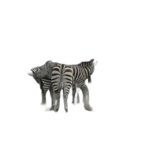 animal, creature, jewelry, furniture, 3d render, concept art, photorealistic, pixel art transparent PNG cut-out