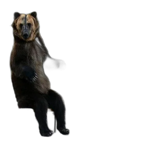 animal, creature, 3d render, concept art transparent PNG cut-out