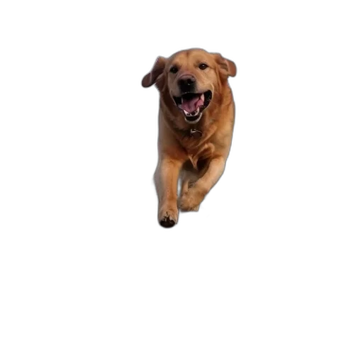 animal, creature, staff, face, photorealistic, 3d render, pixel art, golden-colored transparent PNG cut-out