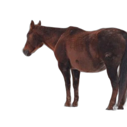 animal, creature, staff, hair, photorealistic, 3d render, concept art, brown transparent PNG cut-out