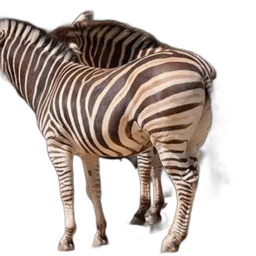 animal, creature, furniture, weapon, 3d render, concept art, photorealistic, two transparent PNG cut-out