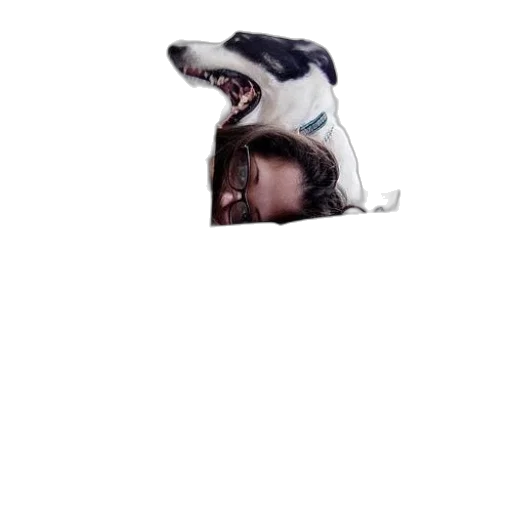 animal, creature, hat, mask, pixel art, photorealistic, concept art, 3d render transparent PNG cut-out