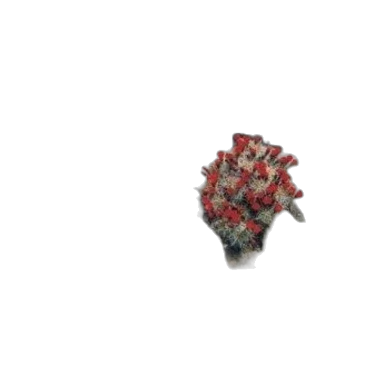 crown, jewelry, weapon, flower, 3d render, pixel art, photorealistic, concept art transparent PNG cut-out