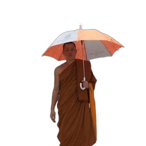 umbrella, staff, dress, jacket, photorealistic, 3d render, concept art, pixel art transparent PNG cut-out
