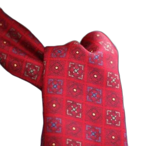 staff, dress, umbrella, mask, man, wearing, red, tie transparent PNG cut-out