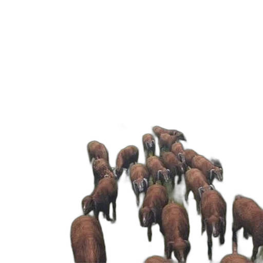 animal, hair, creature, furniture, 3d render, concept art, photorealistic, forest transparent PNG cut-out