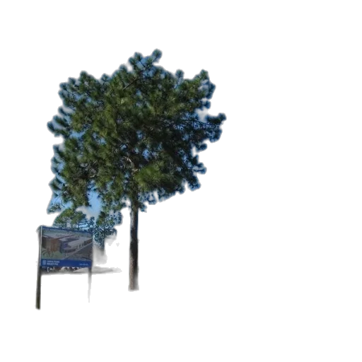 tree, crown, staff, car, 3d render, photorealistic, concept art, pixel art transparent PNG cut-out