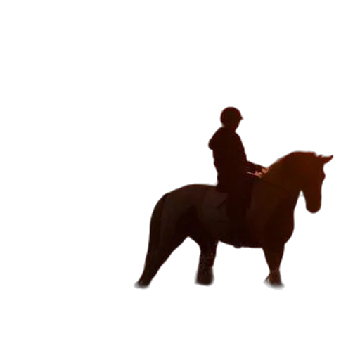 animal, staff, hat, jacket, concept art, 3d render, pixel art, photorealistic transparent PNG cut-out