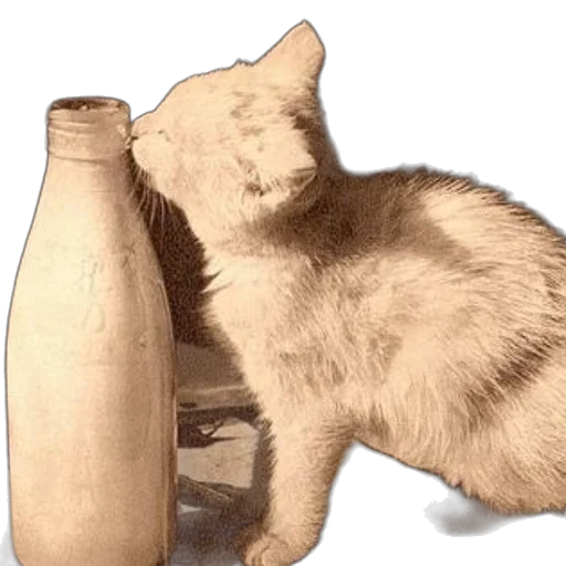 bottle, animal, furniture, food, 3d render, photorealistic, concept art, sepia-toned transparent PNG cut-out