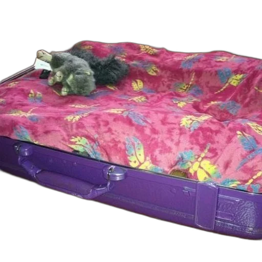furniture, purple, suitcase, pink, yellow, floral, blanket, inside transparent PNG cut-out