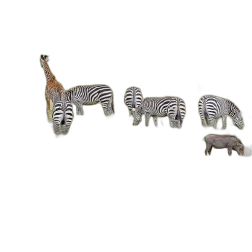 animal, jewelry, furniture, creature, 3d render, concept art, forest, monochrome transparent PNG cut-out