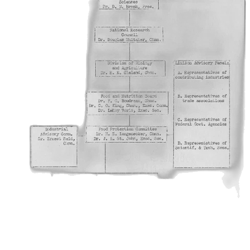 jacket, staff, tree, crown, concept art, flowchart, national, research transparent PNG cut-out
