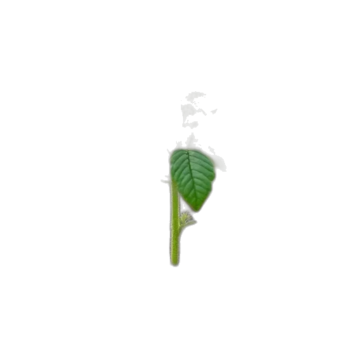 staff, jewelry, bottle, tree, 3d render, photorealistic, pixel art, concept art transparent PNG cut-out