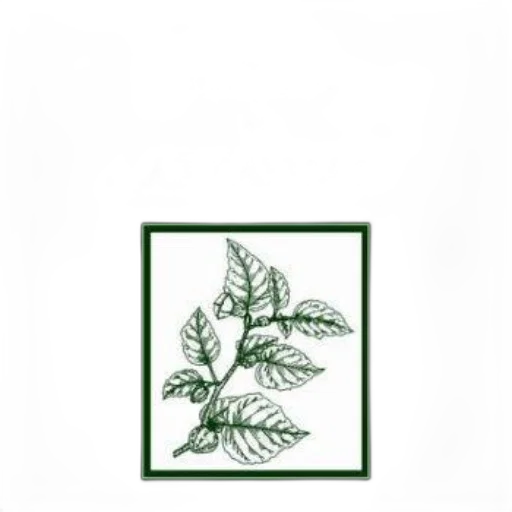 staff, crown, furniture, flower, photorealistic, pencil sketch, concept art, forest transparent PNG cut-out