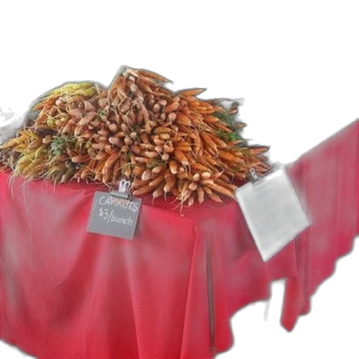 dress, jacket, jewelry, food, 3d render, photorealistic, table, farmer transparent PNG cut-out