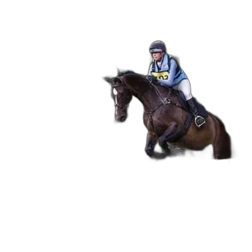 animal, pixel art, photorealistic, concept art, rider, brown, horse, jumps transparent PNG cut-out