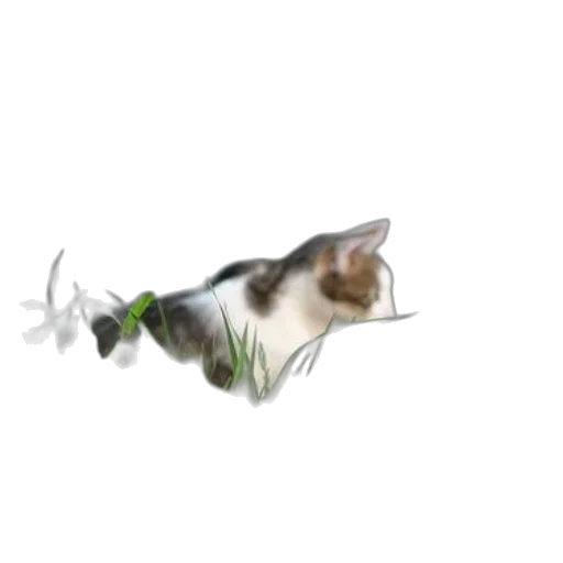 flower, animal, staff, creature, photorealistic, concept art, 3d render, pixel art transparent PNG cut-out