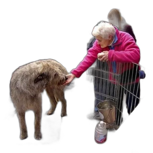 animal, creature, photorealistic, elderly, woman, pink, jacket, pets transparent PNG cut-out