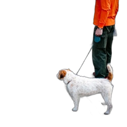 staff, animal, jacket, umbrella, photorealistic, 3d render, concept art, person transparent PNG cut-out