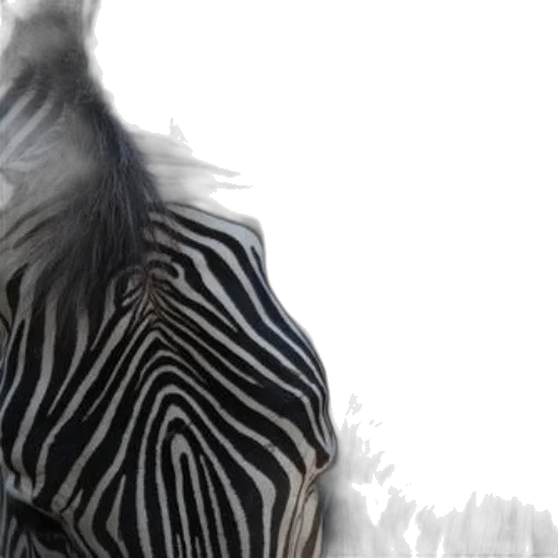 animal, hair, creature, jacket, photorealistic, 3d render, concept art, monochrome transparent PNG cut-out