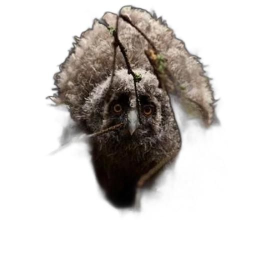 hair, creature, mask, hat, photorealistic, 3d render, concept art, fantasy art transparent PNG cut-out