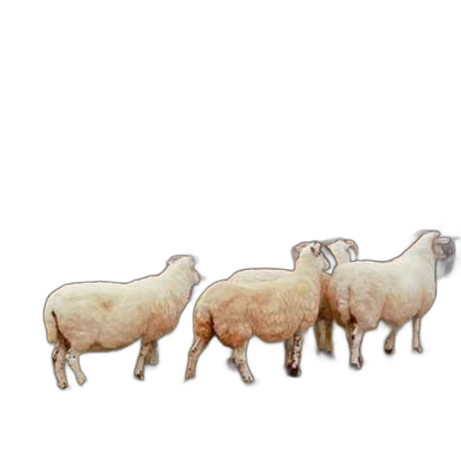 animal, food, 3d render, pixel art, concept art, photorealistic, group, people transparent PNG cut-out