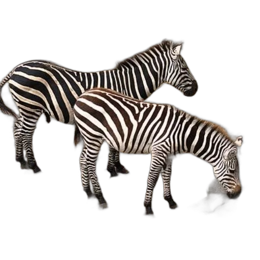 animal, creature, furniture, jewelry, 3d render, concept art, photorealistic, monochrome transparent PNG cut-out