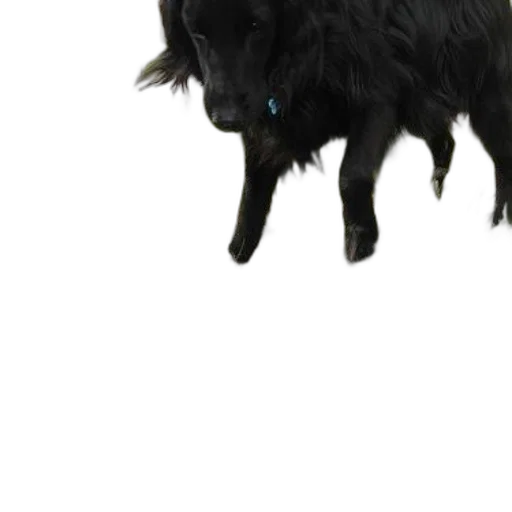 animal, creature, staff, dragon, 3d render, photorealistic, concept art, pixel art transparent PNG cut-out