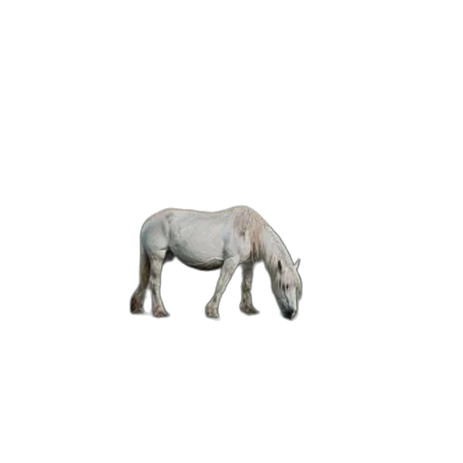 animal, creature, dragon, food, 3d render, photorealistic, concept art, pixel art transparent PNG cut-out