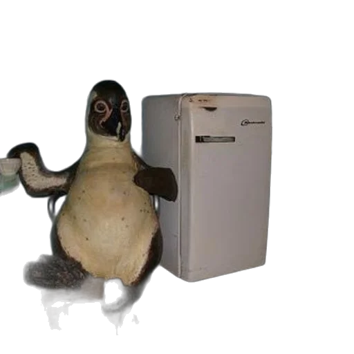 animal, robot, creature, dragon, 3d render, concept art, penguin, statue transparent PNG cut-out