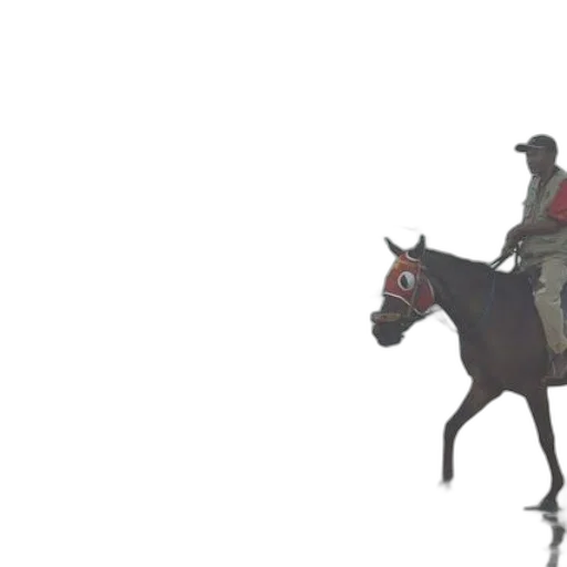 staff, animal, hat, crown transparent PNG cut-out