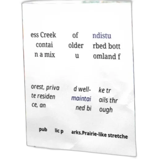 jewelry, text-heavy, image, mix, words, like, creek, disturbed transparent PNG cut-out