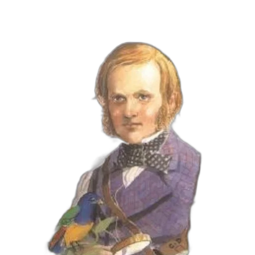 staff, face, hair, jacket, oil painting, photorealistic, vintage, illustration transparent PNG cut-out