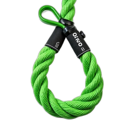 jewelry, staff, weapon, 3d render, green, coiled, rope, black transparent PNG cut-out