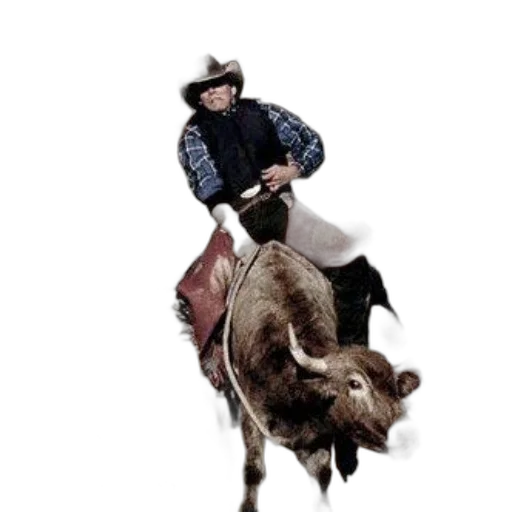 animal, poster, chasing, rodeo, features, cowboy, riding, bull transparent PNG cut-out