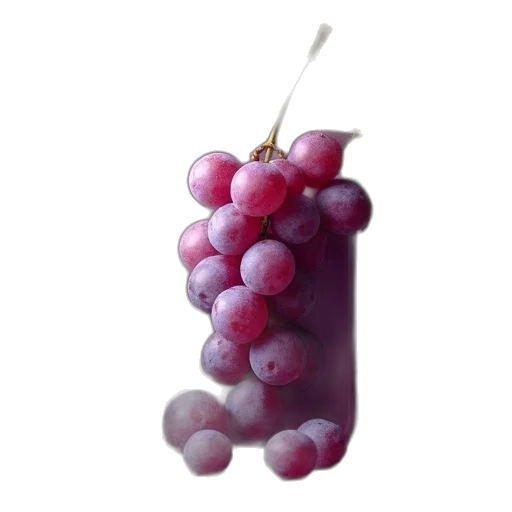 food, jewelry, crown, staff, photorealistic, 3d render, oil painting, pixel art transparent PNG cut-out